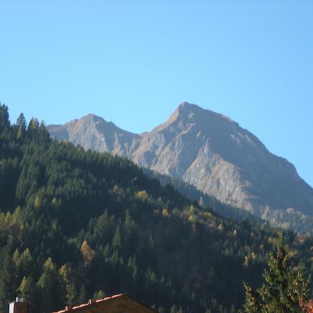 Haus Zerza Apartment Dorfgastein Bagian luar foto