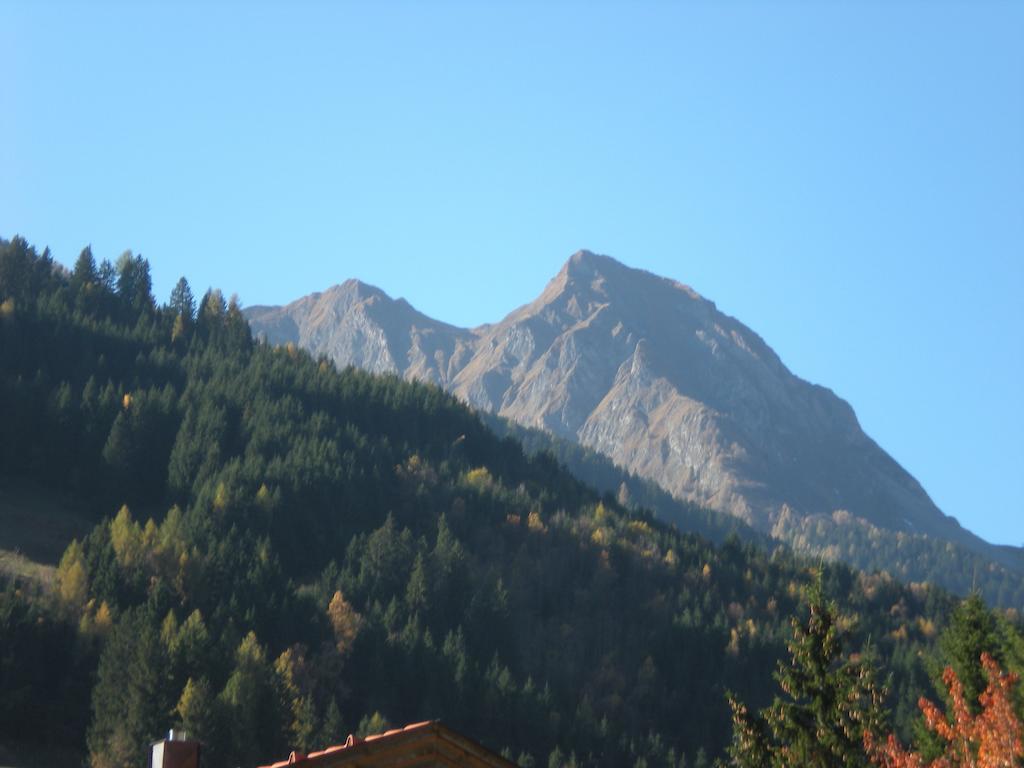 Haus Zerza Apartment Dorfgastein Bagian luar foto